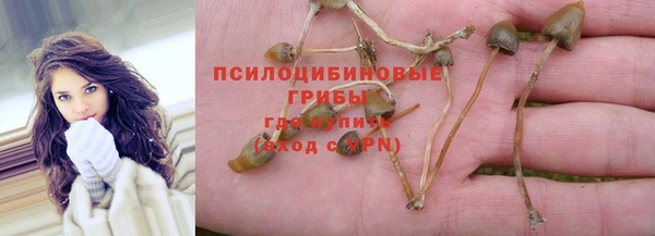 скорость Горнозаводск