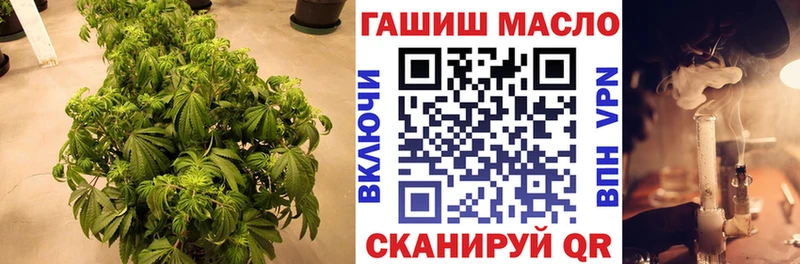 Купить где Киреевск Дистиллят ТГК гашишное масло