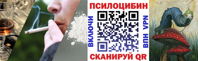 Купить где  Киреевск  Псилоцибиновые грибы ЛСД 