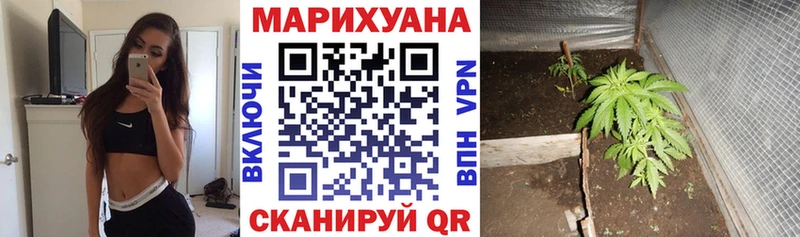 Канабис план Киреевск